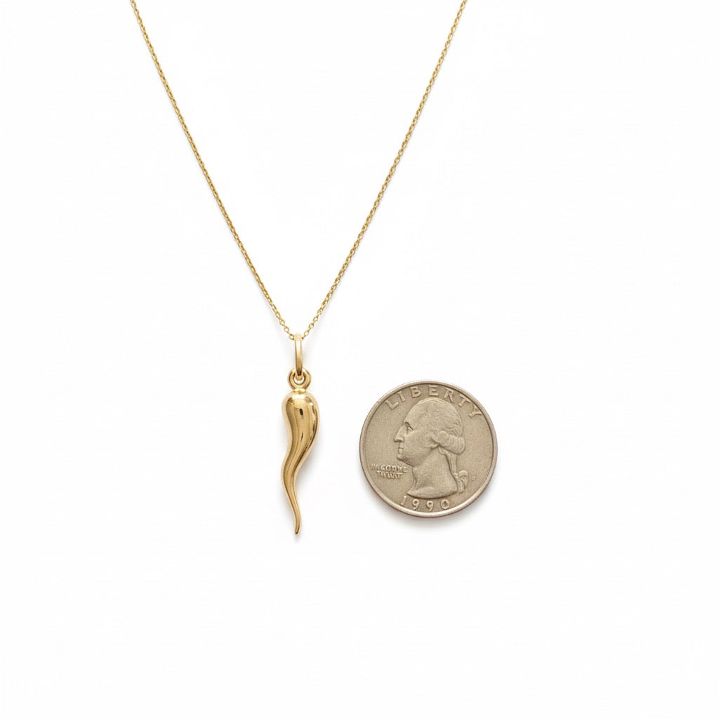 14k Solid Yellow Gold Italian Horn and Chain Set
