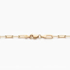 A close-up of a yellow gold chain necklace showing the lobster clasp and paperclip links against a clean white background.