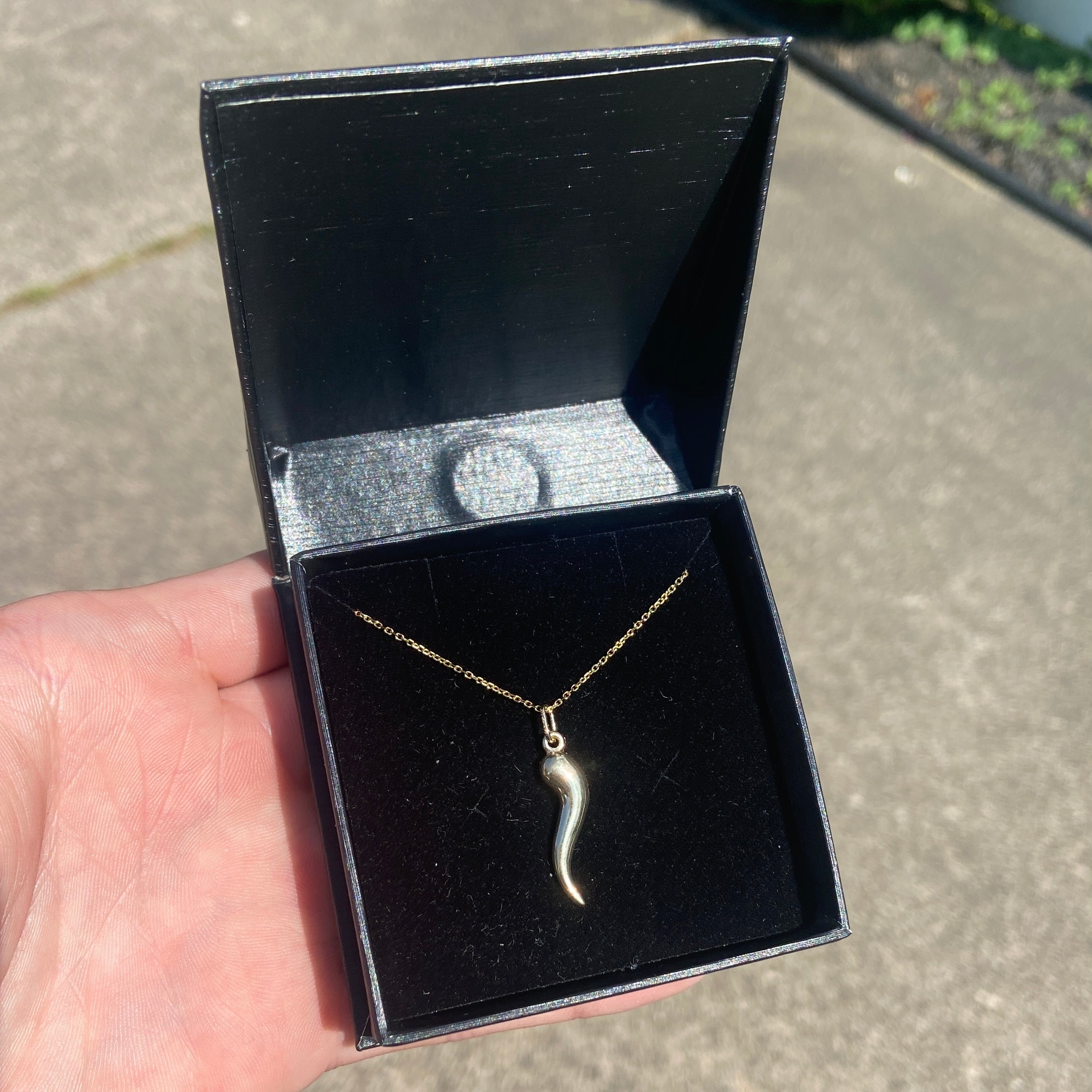 Solid Real 14k Yellow Gold Italian Horn and Chain Set - Prestige Jewelry